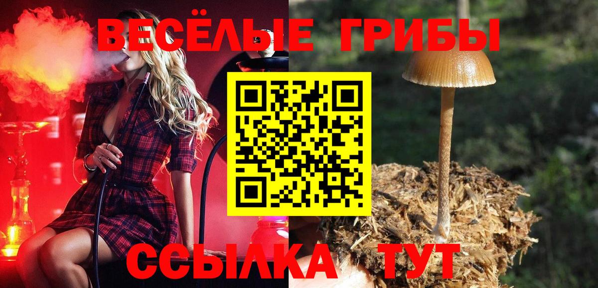 Галлюциногенные грибы мухоморы  купить  сайты  Мегион  Вход с VPN  Галлюциногенные грибы Magic Shrooms 