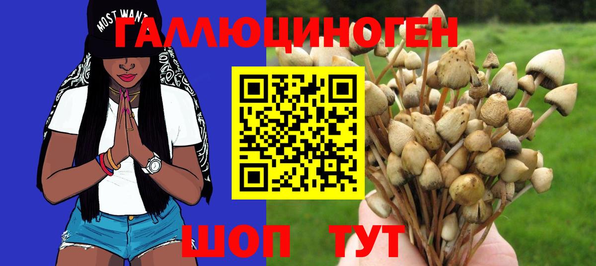 Псилоцибиновые грибы прущие грибы Мегион