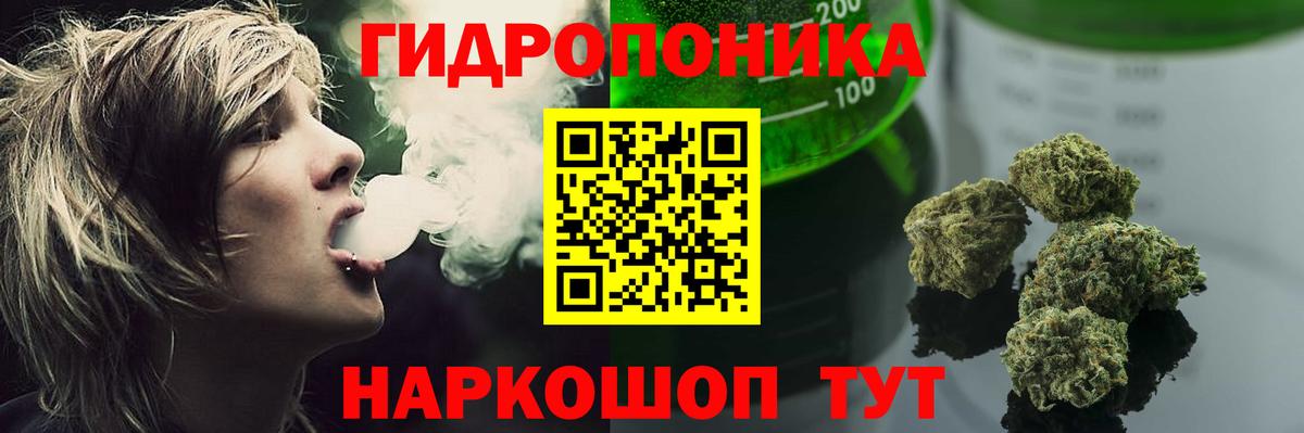 Бошки Шишки OG Kush Мегион